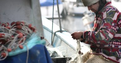 fishing sea boat fisherman